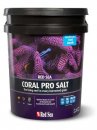 athereefshop.com.au_images_red_20sea_20coral_20pro.jpg